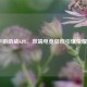 LOL手游助威KPL,双端电竞狂欢引爆荣耀之巅