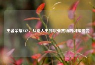 王者荣耀ZYZ，从路人王到职业赛场的闪耀蜕变