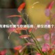 生育津贴归属与申领指南，单位还是个人？