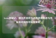 Steam双城记，国内外游戏生态的迥异轨迹与外服游戏国内可玩度解析