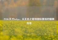PUBG天才Indigo，从无名之辈到国际赛场的耀眼传奇