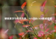 硬核美学与电竞热血，NAVI战队CSGO质感壁纸