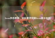 Steam改名教程，轻松更改你的Steam显示名称