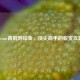 Steam青铜到铂金，顶尖高手的蜕变攻略