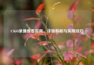 CSGO录像观看指南，详细教程与实用技巧