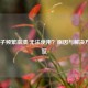 LOL盒子频繁崩溃/无法使用？原因与解决     一览