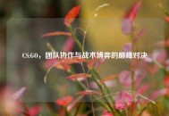 CS:GO，团队协作与战术博弈的巅峰对决