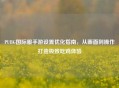 PUBG国际服手游设置优化指南，从画面到操作打造极致吃鸡体验