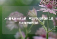 CS:GO排名进阶全攻略，从新手到精英登顶之路附排行榜查询指南