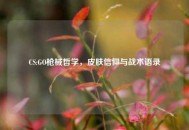 CS:GO枪械哲学，皮肤信仰与战术语录
