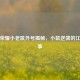 王者荣耀小老鼠外号揭秘，小鼠逆袭的江湖故事