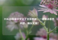 PUBG日韩服中文补丁安装教程，一键解决语言问题，畅玩无阻！