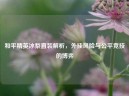和平精英冰梨直装解析，外挂风险与公平竞技的博弈