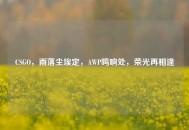 CSGO，雨落尘埃定，AWP鸣响处，荣光再相逢