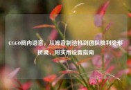 CS:GO局内语音，从噪音制造机到团队胜利隐形桥梁，附实用设置指南