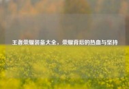 王者荣耀装备大全，荣耀背后的热血与坚持