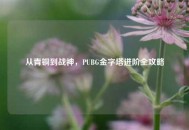 从青铜到战神，PUBG金字塔进阶全攻略