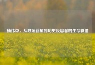 杨伟中，从政坛新星到历史反思者的生命轨迹