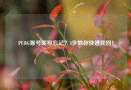 PUBG账号昵称忘记？3步教你快速找回！