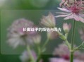 长脚趾甲的烦恼与荣光