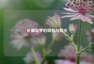 长脚趾甲的烦恼与荣光