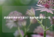逆战助手换肤卡不显示？原因与解决方法一览