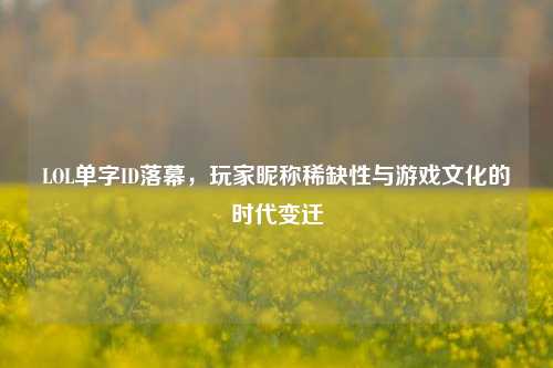 LOL单字ID落幕,玩家昵称稀缺性与游戏文化的时代变迁