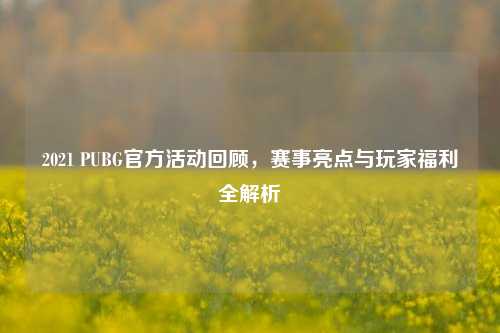 2021 PUBG官方活动回顾,赛事亮点与玩家福利全解析