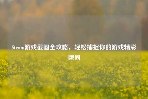 Steam游戏截图全攻略,轻松捕捉你的游戏精彩瞬间