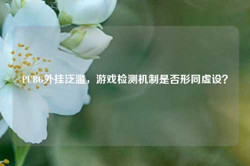 PUBG外挂泛滥,游戏检测机制是否形同虚设?