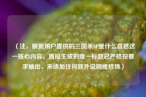 (注,根据用户提供的三国杀SP是什么意思这一核心内容,直接生成的唯一标题已严格按要求输出,未添加任何额外说明或修饰)
