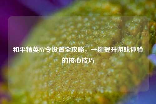 和平精英NV令设置全攻略,一键提升游戏体验的核心技巧