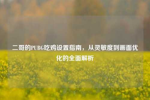 二哥的PUBG吃鸡设置指南,从灵敏度到画面优化的全面解析