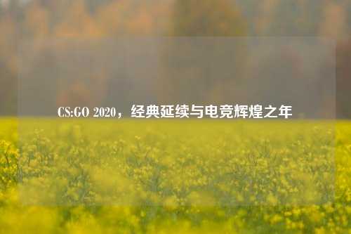 CS:GO 2020,经典延续与电竞辉煌之年