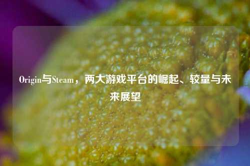 Origin与Steam,两大游戏平台的崛起、较量与未来展望