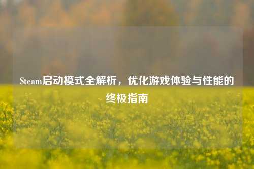 Steam启动模式全解析,优化游戏体验与性能的终极指南