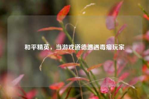 和平精英,当游戏道德遭遇毒瘤玩家