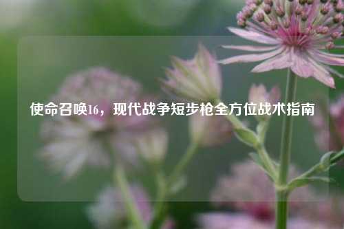 使命召唤16,现代战争短步枪全方位战术指南