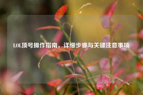 LOL顶号操作指南,详细步骤与关键注意事项