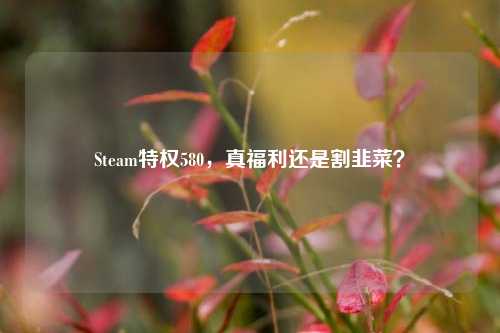 Steam特权580,真福利还是割韭菜?
