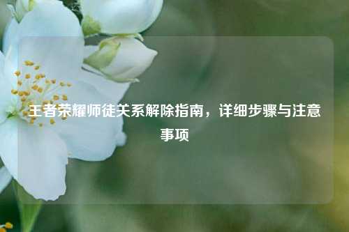 王者荣耀师徒关系解除指南,详细步骤与注意事项