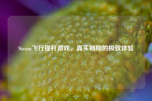 Steam飞行摇杆游戏,真实翱翔的极致体验