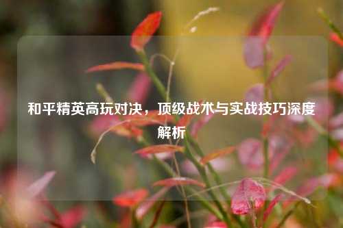 和平精英高玩对决，顶级战术与实战技巧深度解析