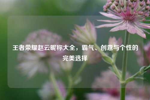 王者荣耀赵云昵称大全,霸气、创意与个性的完美选择