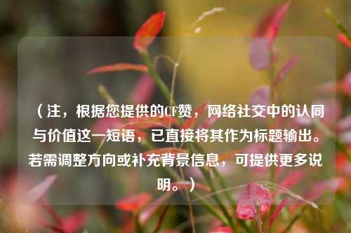 (注,根据您提供的CF赞,网络社交中的认同与价值这一短语,已直接将其作为标题输出。若需调整方向或补充背景信息,可提供更多说明。)
