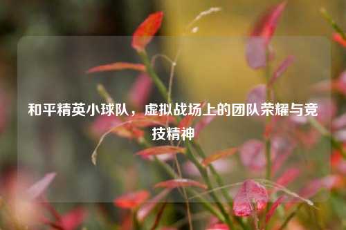 和平精英小球队，虚拟战场上的团队荣耀与竞技精神