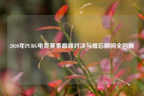 2020年PUBG电竞赛事巅峰对决与难忘瞬间全回顾