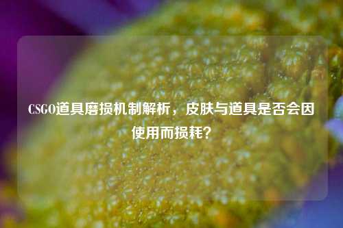 CSGO道具磨损机制解析,皮肤与道具是否会因使用而损耗?