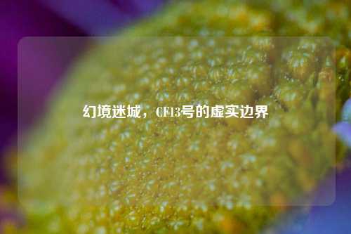 幻境迷城,CF13号的虚实边界