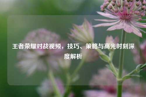 王者荣耀对战视频,技巧、策略与高光时刻深度解析